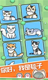 云养猫吃瓜,吃瓜群众也能享受萌宠乐趣