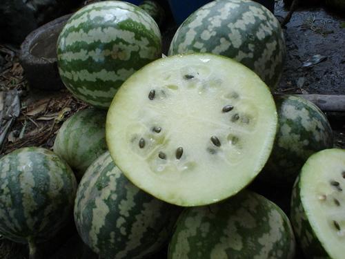 减肥可以吃绿宝瓜,天然低卡美食，轻松享瘦新选择