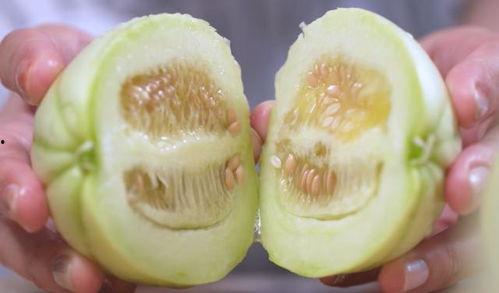 吃瓜亭藤萝,探寻夏日消暑的绿色秘境