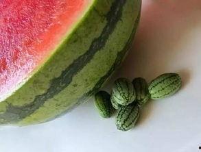 昨天吃的最大的瓜,一场娱乐圈的惊心动魄风云