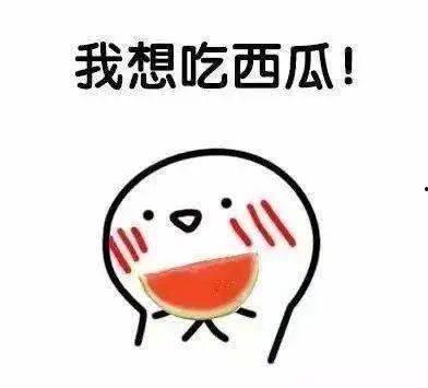 我太喜欢吃瓜,我的瓜食之旅