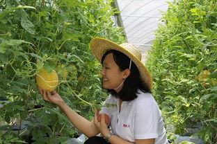 青州吃瓜新娘,吃瓜群众见证甜蜜瞬间