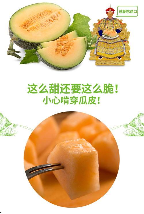 吃蜜瓜搞笑,甜蜜滋味中的欢乐时光