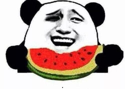 瓜哥带你吃瓜蚊子,吃瓜蚊子背后的秘密