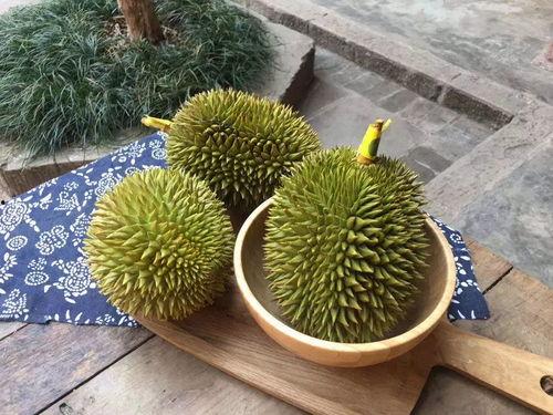 小郡肝吃瓜,夏日消暑新宠，美食与娱乐的完美融合