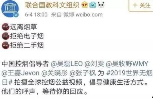 吃瓜大会流程,一场舌尖上的狂欢，揭秘美食与文化的盛宴