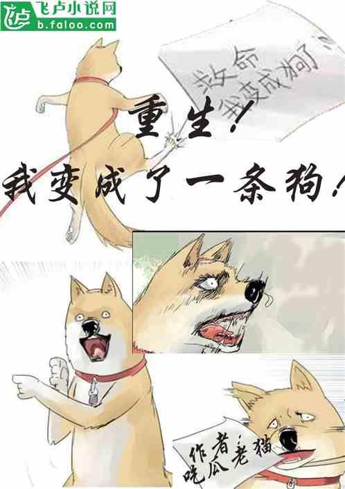 吃瓜到隔壁 小说,一场吃瓜引发的悬疑之旅