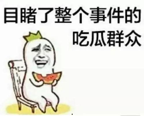 吃瓜群众刘小欢,揭秘吃瓜群众的趣味生活