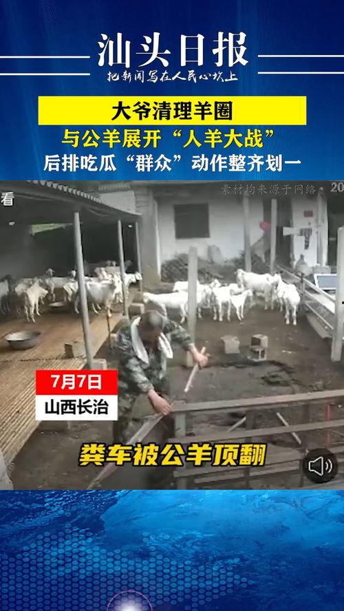 吃瓜清理桌面,轻松清理桌面，焕然一新