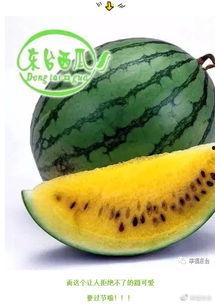 开视频吃瓜,解锁娱乐新姿势