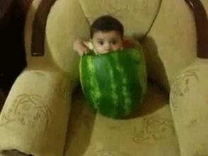 吃半个瓜照片姿势大全