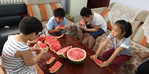 社区吃瓜大赛,一场全民参与的吃瓜盛宴