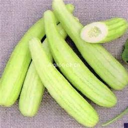 泉州理工吃瓜,一场“吃瓜”事件背后的校园生活百态