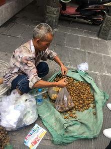 青海阿爸阿妈吃瓜