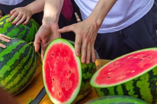 福建高校吃瓜群