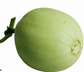 梨瓜吃有点苦,探寻苦中带甜的独特风味