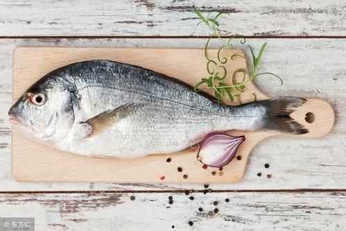 吃瓜菜的鱼,探寻吃瓜菜鱼的独特魅力