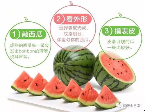 满瓜怎么吃,解锁美味新吃法