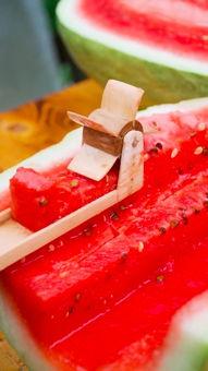 手工耿吃瓜神器,打造吃瓜神器惊艳众人