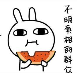 亲戚吃瓜文案短句搞笑,笑料连连，年度最佳“瓜田”大作战！