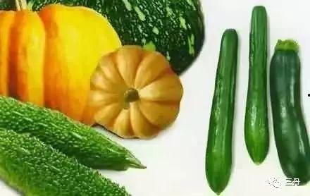 金乡吃瓜事件音频,一场引发热议的网络狂欢