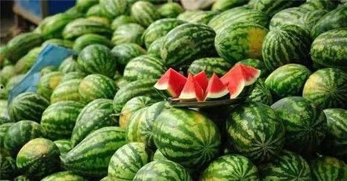 聪明人吃瓜,聪明人如何巧妙吃瓜