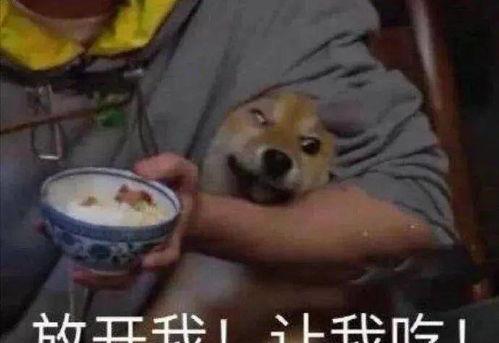 吃瓜最新事件集锦,最新事件集锦大盘点