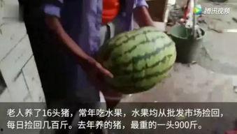 你怎么吃瓜的视频,一场视觉盛宴的幕后故事